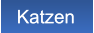 Katzen Katzen