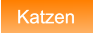 Katzen Katzen